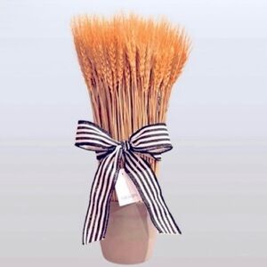 🆕- Bundle of Wheat in Ceramic Container with Decorative Ribbon.
